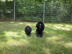 Evi + Hanka